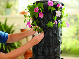 Join The Home Depot Garden Club