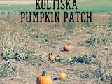 Koltiska Pumpkin Patch