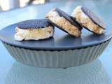 Super Easy s'mores Ice Cream Sandwiches / Scrumptious s'mores Recipes