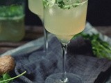 Desperately Seeking Sun [Ginger-Cilantro Margaritas]