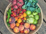 Farmers Feast 03: Tomatillo Margarita & Strawberry Beet Granita