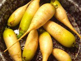 Asian Radishes and Cooking Greens