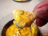 Hot ooey gooey tex mex Cheese Dip & Taco Seasoning Mix