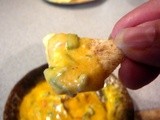 Hot ooey gooey tex mex Cheese Dip & Taco Seasoning Mix