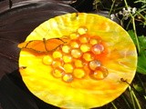 Make a Butterfly Refreshment Station for Your Garden