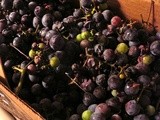 Making Grape Juice for Concord Grape Jelly