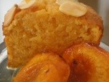 Already Cooked Apricot Quinoa Cakes