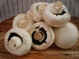 Majestic Mushrooms