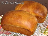 Family Favorites...Classic Rich Bread