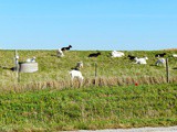 Sunday in Iowa