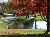 Sunday in Iowa