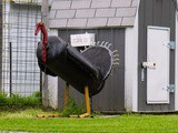 Sunday in Iowa