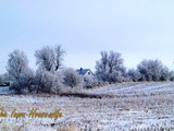 Sunday in Iowa