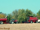 Sunday in Iowa