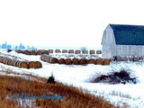 Sunday in Iowa