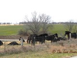 Sunday in Iowa
