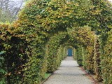 The Gardens at Strokestown Park House