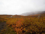 The Great Iceland Road Trip – Day 3 & 4, Westfjords South Arm