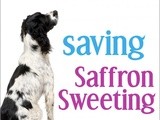Book review:  saving saffron sweeting  by pauline wiles