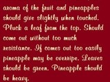 Handy food tip – choosing and storing fresh pineapple