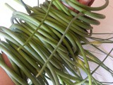 Saving and Using Hardneck Garlic Scapes