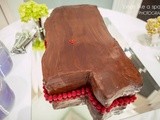 Troy's Groom's Cake