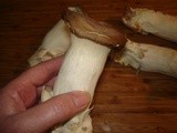 King Oyster Mushrooms