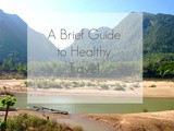 Travel Diary: a Brief Guide to Healthy Travel