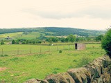 Yorkshire Diary: Nidderdale Llamas