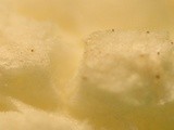 Name That Food Guessing Game