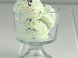 Easy Mint Chocolate Chip Ice Cream