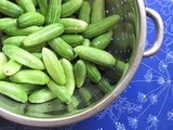 Kundru/Tendli Masala Fry