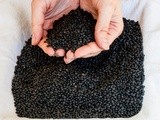 A Millennia of Lentils