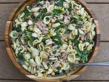 Fast and Flavorful: a Different Take on Tuna–Pasta Salad
