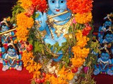 Gokulashtami Festival