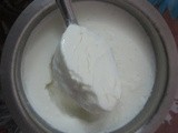 Yogurt / Curd Preparation At Home