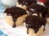 Boston Cream Cupcakes