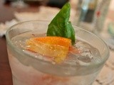 Grapefruit Gin and Tonic