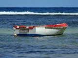 Seychelles: paradiso di mare, sole, pesce e frutta