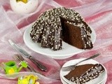Chocolate Cake with chocolate chips