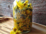 Dandelion Vinegar