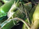 Farm Stand-Corn