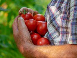 To Grow Your Own Food, You’ll Need