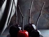 Matt Bites: or How i tried to make those great candied apples