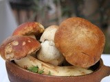 Porcini Mushrooms–Forage first then eat