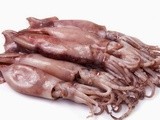 Calamares rellenos de carne  - calamar farcit de carn -  squid stuffed with minced meat (traditional recipe from Spain)