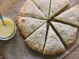 Cream scones + grapefruit curd