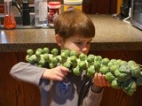 The Brussels Sprouts Bazooka