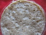 Sourdough Starter