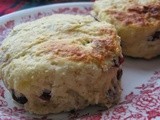 Toaster Oven Cranberry Orange Biscuits